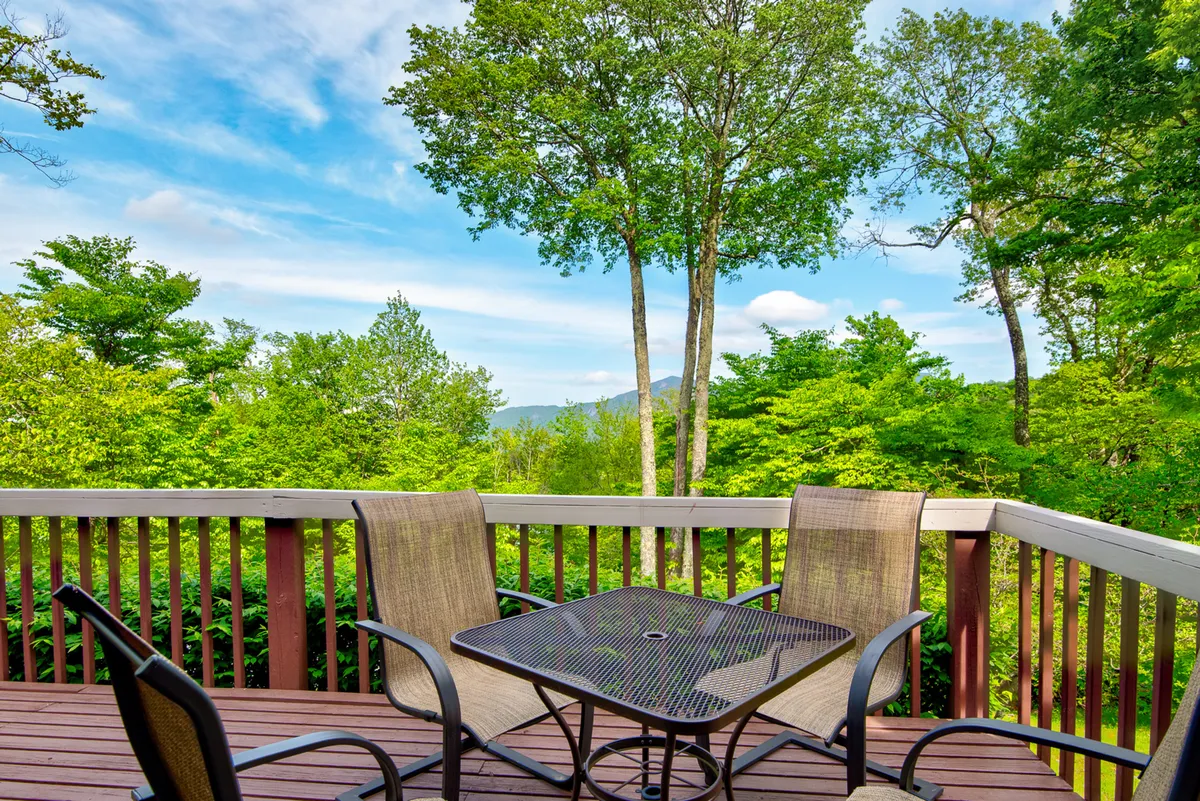 An inviting outdoor seating area surrounded by lush greenery and offering stunning views of the mountains. Comfortable chairs are arranged on a spacious deck, providing an ideal spot to relax after a day of outdoor adventure. The setting is peaceful and open, perfect for enjoying time with pets in nature.