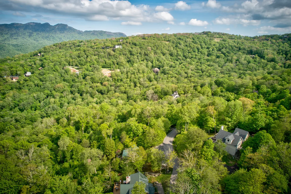 An exterior scene showing homes nestled into the lush landscape of Sugar Mountain, with a winding road suggesting easy access to nearby hiking trails and nature activities. The abundance of trees adds to the feeling of a serene mountain escape.
